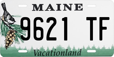 ME license plate 9621TF