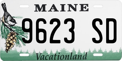 ME license plate 9623SD