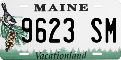 ME license plate 9623SM