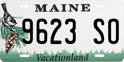 ME license plate 9623SO