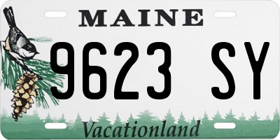 ME license plate 9623SY