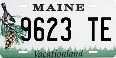 ME license plate 9623TE