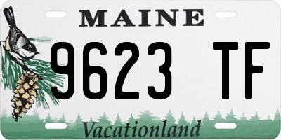 ME license plate 9623TF