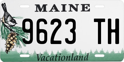 ME license plate 9623TH