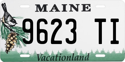 ME license plate 9623TI