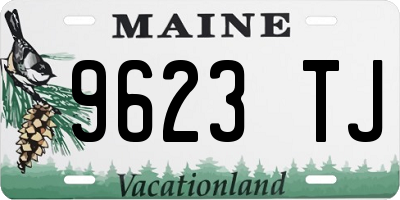 ME license plate 9623TJ