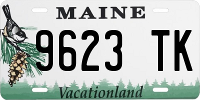 ME license plate 9623TK