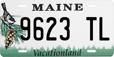 ME license plate 9623TL