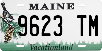 ME license plate 9623TM