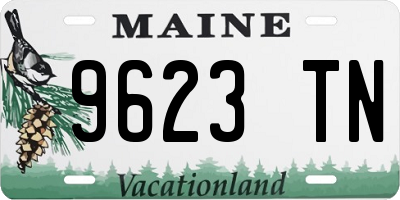 ME license plate 9623TN