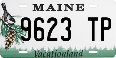 ME license plate 9623TP