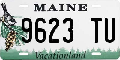 ME license plate 9623TU