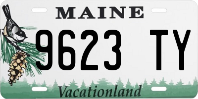 ME license plate 9623TY
