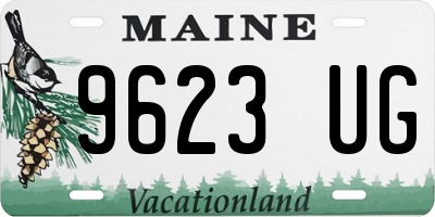 ME license plate 9623UG