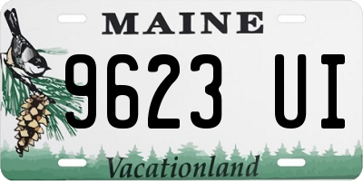 ME license plate 9623UI