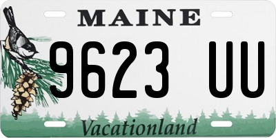 ME license plate 9623UU