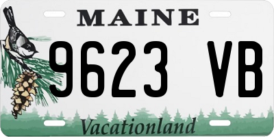 ME license plate 9623VB