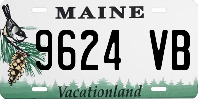 ME license plate 9624VB
