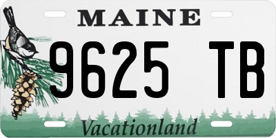 ME license plate 9625TB