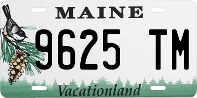 ME license plate 9625TM