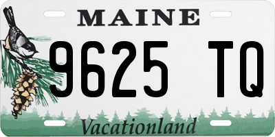 ME license plate 9625TQ