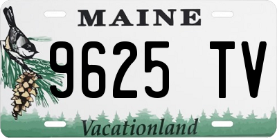 ME license plate 9625TV