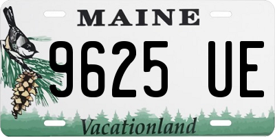 ME license plate 9625UE