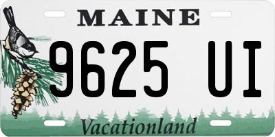 ME license plate 9625UI