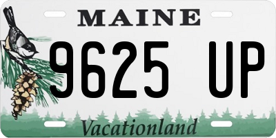 ME license plate 9625UP