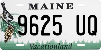 ME license plate 9625UQ