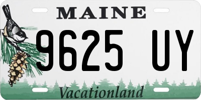 ME license plate 9625UY