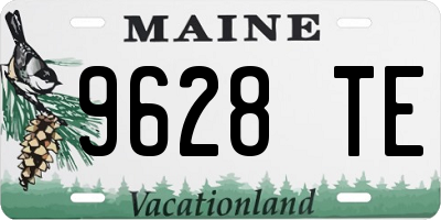 ME license plate 9628TE