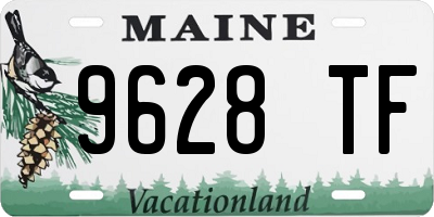 ME license plate 9628TF