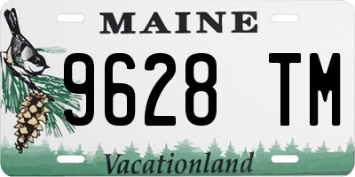 ME license plate 9628TM