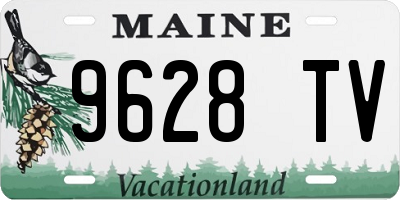 ME license plate 9628TV