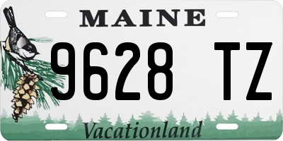 ME license plate 9628TZ