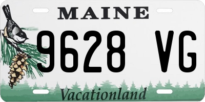 ME license plate 9628VG