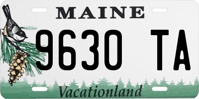 ME license plate 9630TA