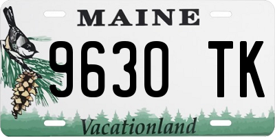 ME license plate 9630TK