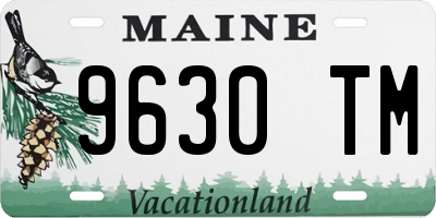 ME license plate 9630TM