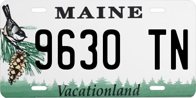 ME license plate 9630TN