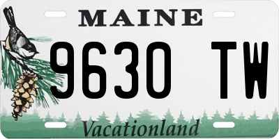 ME license plate 9630TW