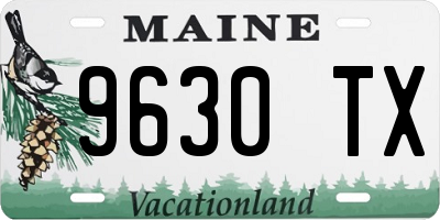 ME license plate 9630TX