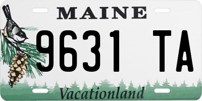 ME license plate 9631TA