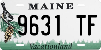 ME license plate 9631TF