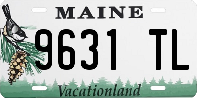 ME license plate 9631TL