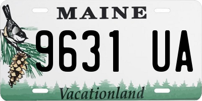 ME license plate 9631UA