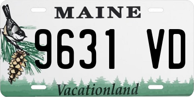ME license plate 9631VD
