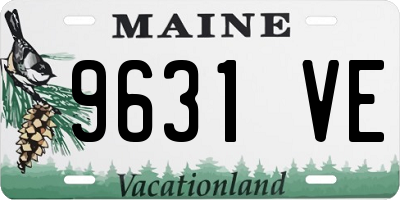 ME license plate 9631VE