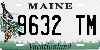 ME license plate 9632TM